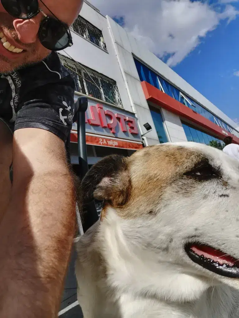 Über mich: gesundes Hundefutter als ehrliche Empfehlung und Verantwortung